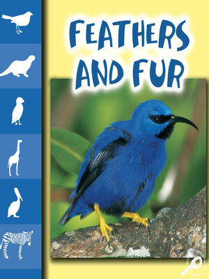 cover image of Feathers and Fur